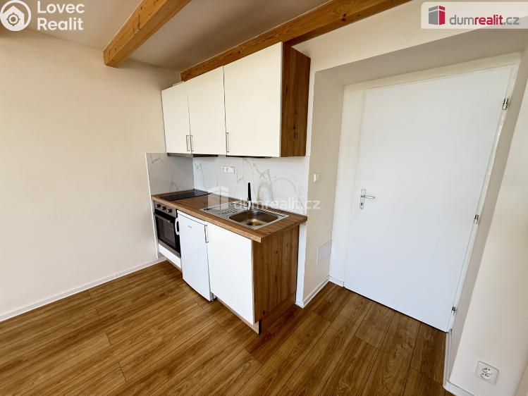 Rent apartment 1+KK Praha 5, Na Valentince č. 4