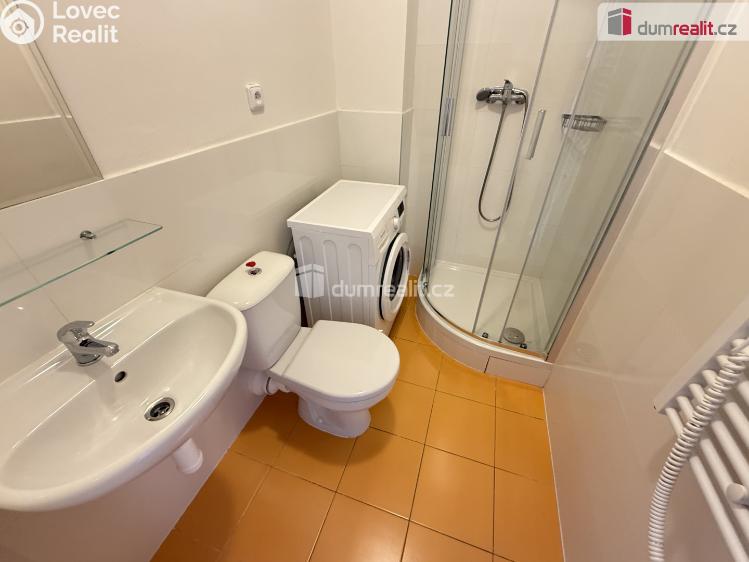 Rent apartment 1+KK Praha 5, Na Valentince č. 8