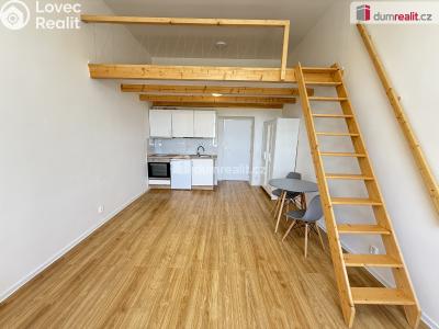 Rent apartment 1+KK Praha 5, Na Valentince č. 1