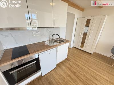 Rent apartment 1+KK Praha 5, Na Valentince č. 5