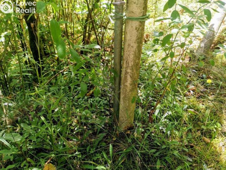 Продажа хижины Čerňovice č. 21