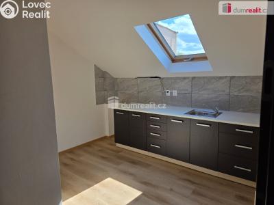 Pronájem bytu 1+1 Nový Jičín, B. Martinů č. 1