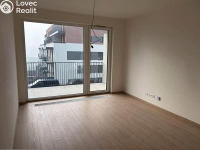 Rent apartment 1+KK Praha 5, Řeporyje, Jáchymovská č. 1