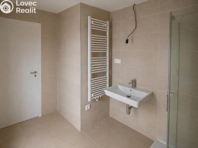 Rent apartment 1+KK Praha 5, Řeporyje, Jáchymovská č. 4