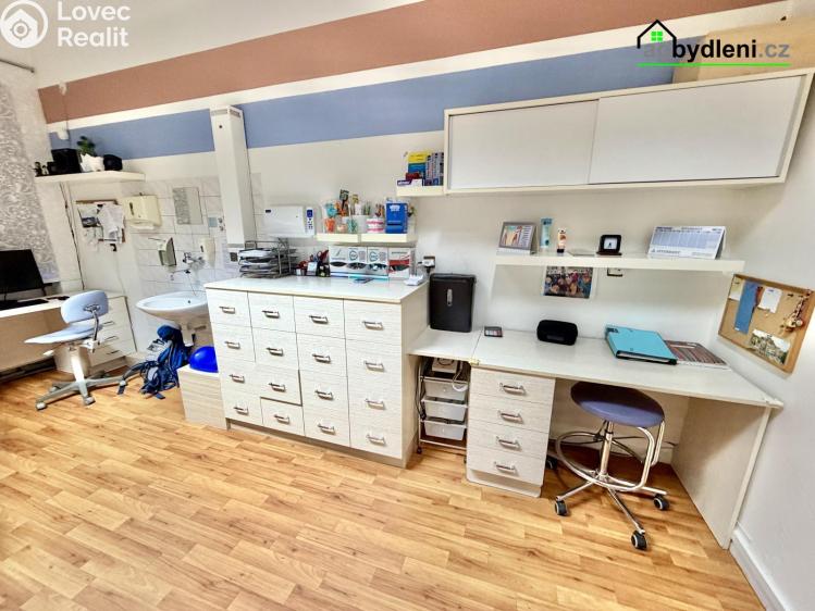 Rent doctor's office Plzeň, Havlíčkova 703/12 č. 3