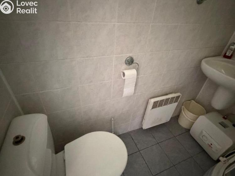 Sale hut Děčany č. 13