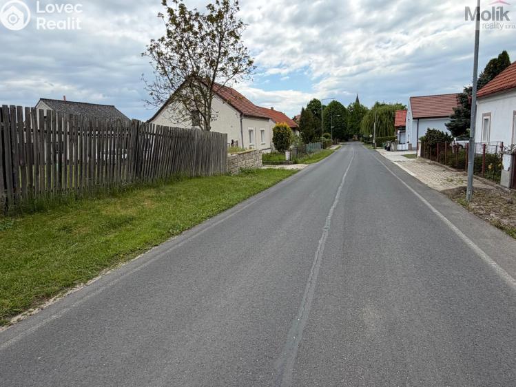 Sale hut Děčany č. 27