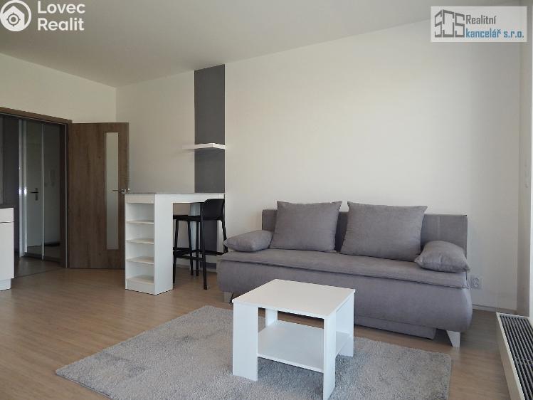 Rent apartment 1+KK Brno, Střední č. 9