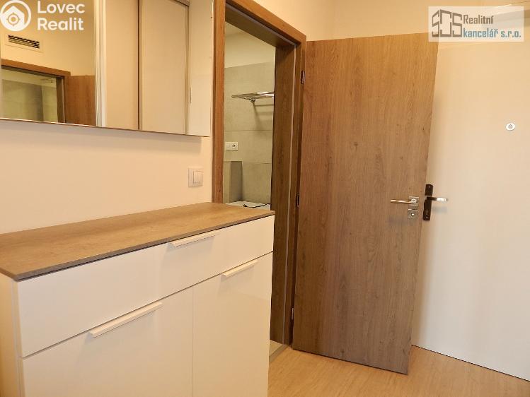 Rent apartment 1+KK Brno, Střední č. 11