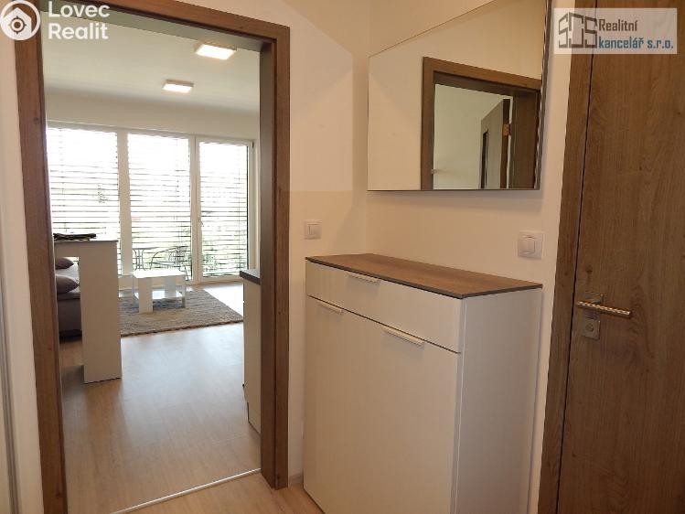 Rent apartment 1+KK Brno, Střední č. 12