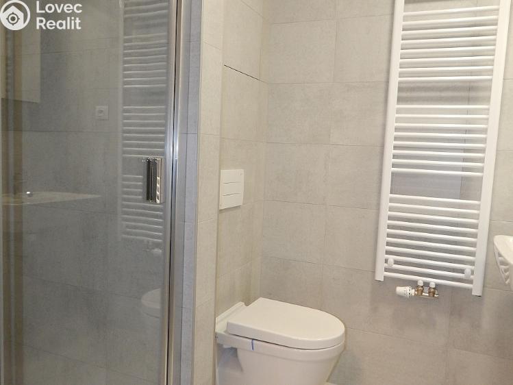 Rent apartment 1+KK Brno, Střední č. 14