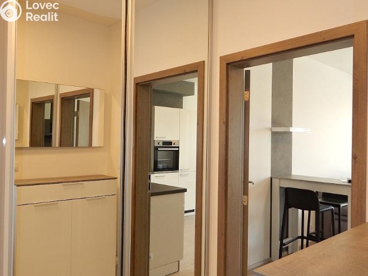 Rent apartment 1+KK Brno, Střední č. 18