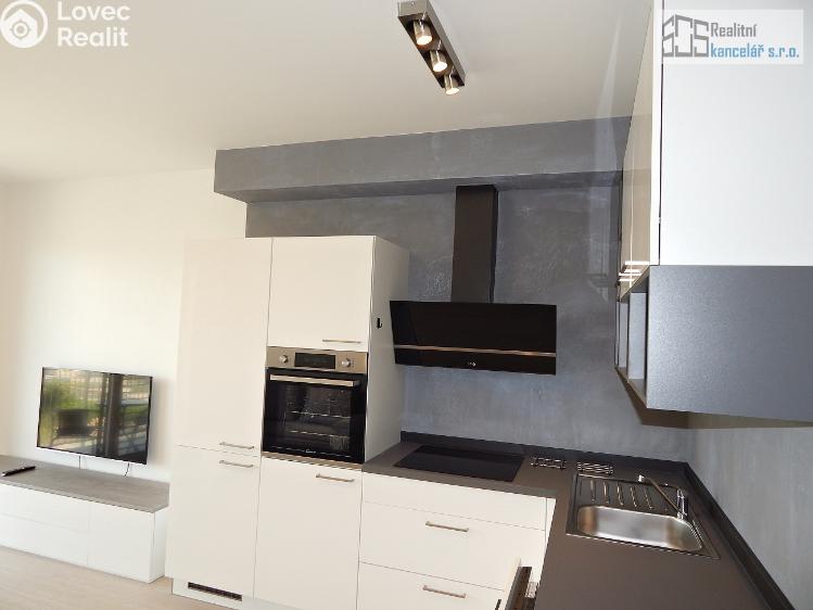 Rent apartment 1+KK Brno, Střední č. 19