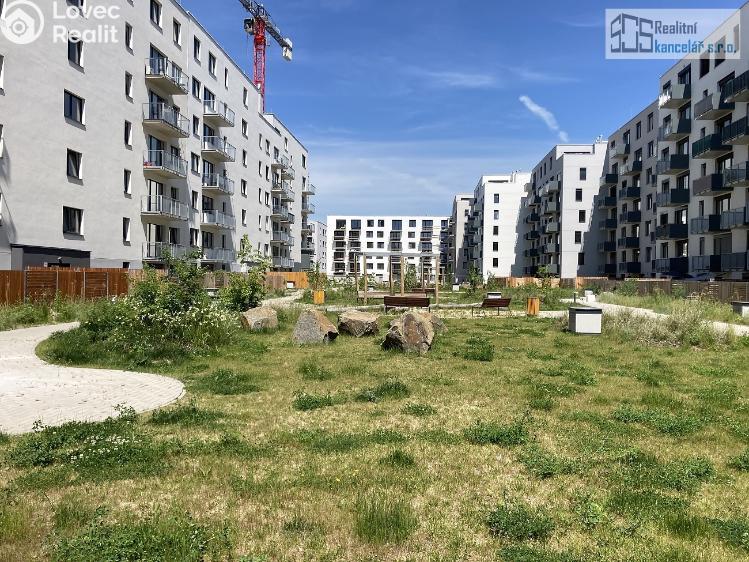 Rent apartment 1+KK Brno, Střední č. 29