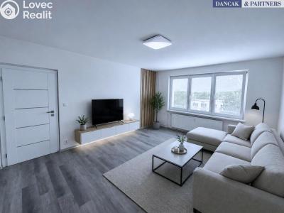 Sale apartment 1+1 Ostrava, Na Výspě č. 2