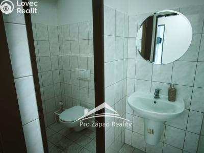 Rent commercial space Plzeň, Poděbradova č. 10