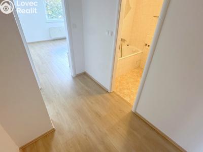 Оренда квартири 2+KK Praha, Wassermannova č. 11