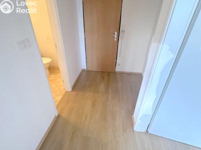Оренда квартири 2+KK Praha, Wassermannova č. 12
