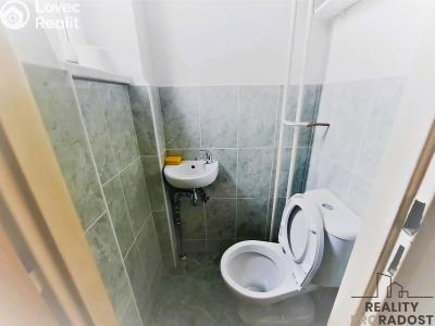 Оренда квартири 3+1 Praha, Radčina č. 7