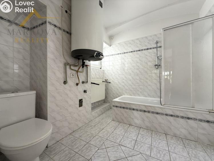 Продажа семейного дома Týn nad Vltavou, Brašovská ulička 250 č. 42