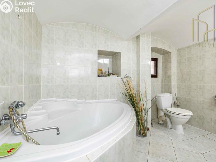 Продаж сімейного будинку Lubenec č. 19