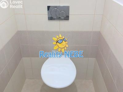 Rent apartment 2+1 Praha, Na Veselí č. 8