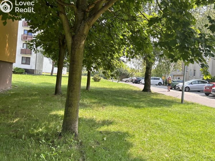 Prodej bytu 1+1 Lázně Bohdaneč, Na Lužci 510 č. 15