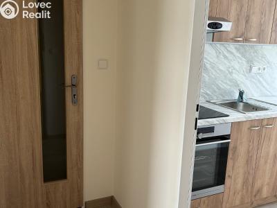 Продажа квартиры 1+1 Lázně Bohdaneč, Na Lužci 510 č. 7