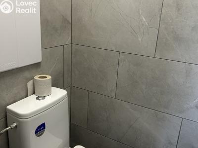 Продажа квартиры 1+1 Lázně Bohdaneč, Na Lužci 510 č. 11