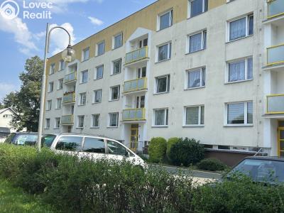 Продажа квартиры 1+1 Lázně Bohdaneč, Na Lužci 510 č. 14