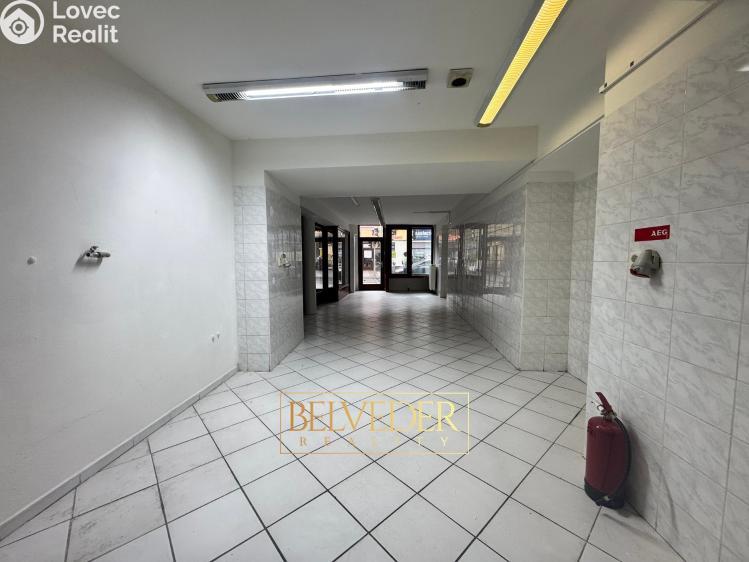 Rent commercial space Teplice, Masarykova třída č. 7