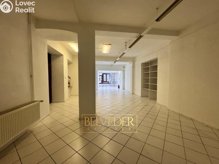 Rent commercial space Teplice, Masarykova třída č. 9