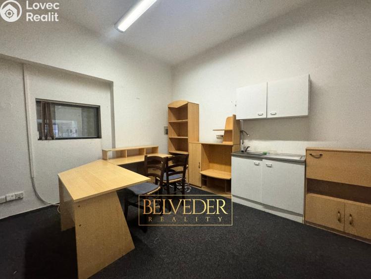 Rent commercial space Teplice, Masarykova třída č. 11