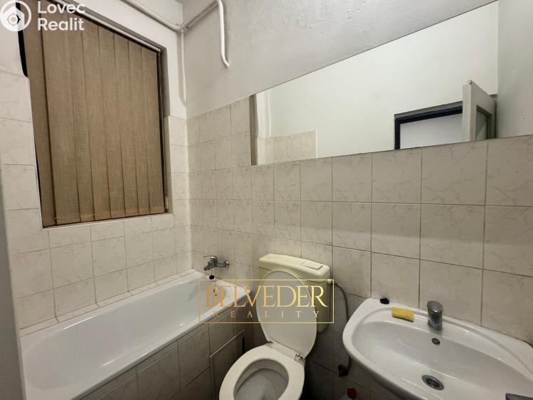 Rent commercial space Teplice, Masarykova třída č. 12