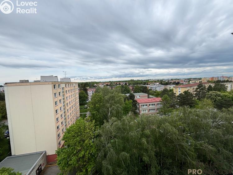 Prodej bytu 1+KK Olomouc, Karafiátová č. 7