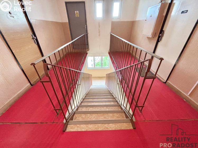 Prodej bytu 1+KK Olomouc, Karafiátová č. 13