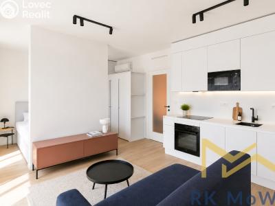 Аренда квартиры 1+KK Praha č. 1