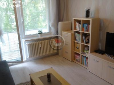 Аренда квартиры 2+1 Třebíč č. 4
