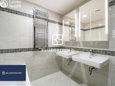 Rent apartment 3+KK Praha, Malešická č. 18