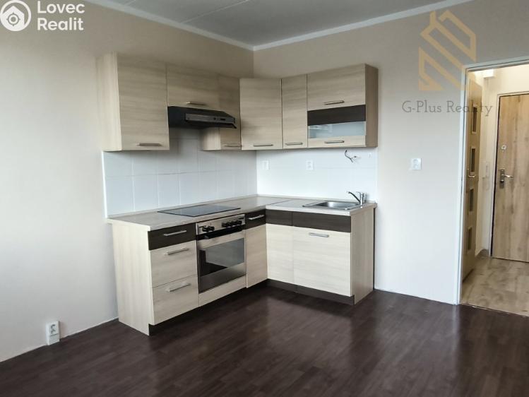 Pronájem bytu 1+1 Louny, Petra Obrovce 2246 č. 7