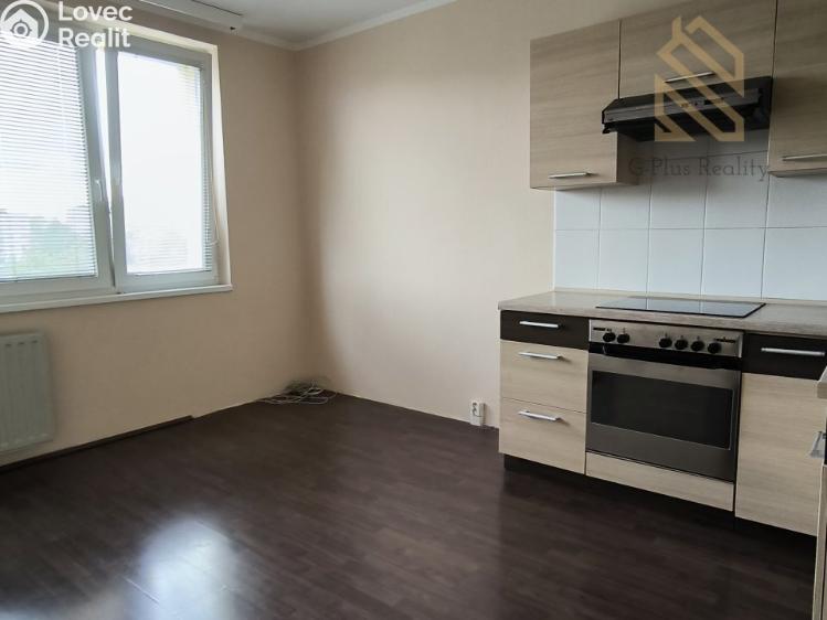 Pronájem bytu 1+1 Louny, Petra Obrovce 2246 č. 8