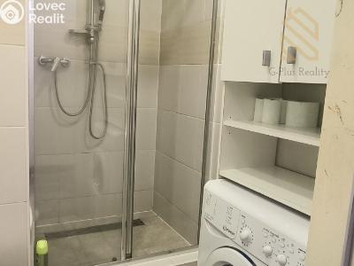 Pronájem bytu 1+1 Louny, Petra Obrovce 2246 č. 2