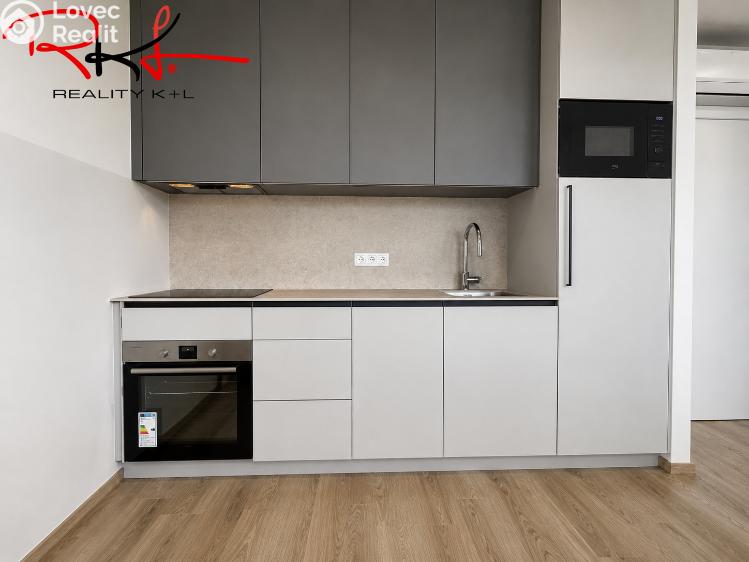 Pronájem bytu 1+KK Mladá Boleslav, Nad Červenkou č. 2