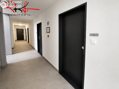 Pronájem bytu 1+KK Mladá Boleslav, Nad Červenkou č. 13