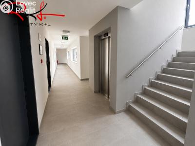Pronájem bytu 1+KK Mladá Boleslav, Nad Červenkou č. 14