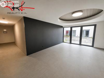 Pronájem bytu 1+KK Mladá Boleslav, Nad Červenkou č. 15