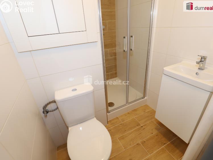 Pronájem bytu 1+KK Kraslice, Pohraniční stráže č. 8