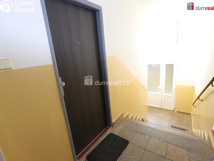 Pronájem bytu 1+KK Kraslice, Pohraniční stráže č. 14
