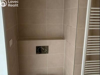 Pronájem bytu 1+KK Praha č. 4