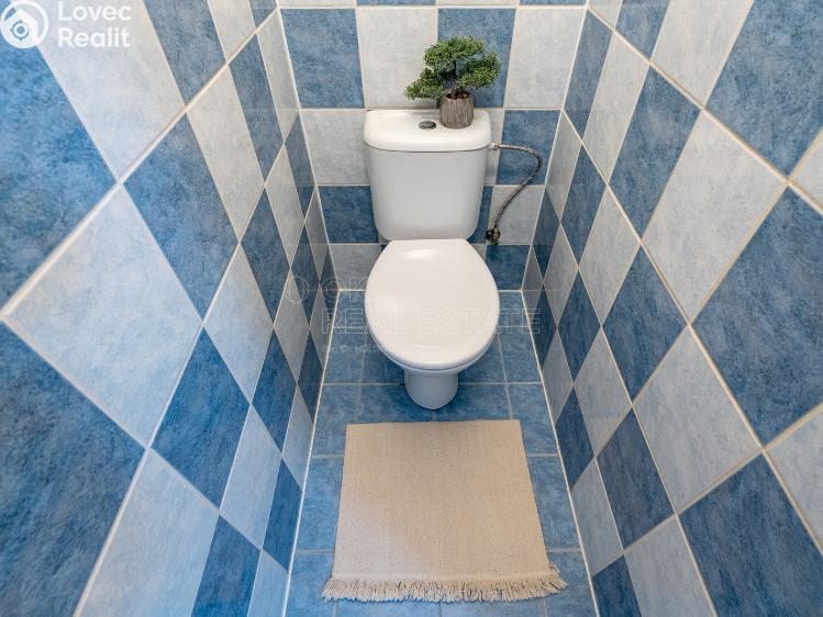 Sale apartment 2+1 Dobřejovice, Sportovní č. 12